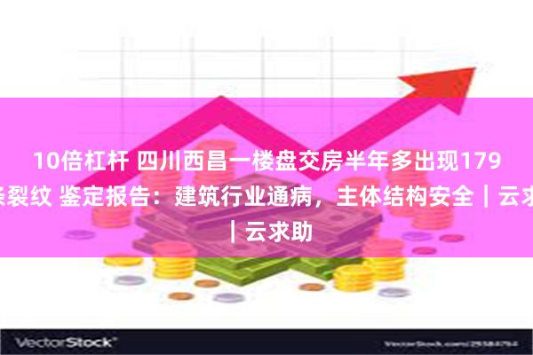 10倍杠杆 四川西昌一楼盘交房半年多出现1798条裂纹 鉴定报告：建筑行业通病，主体结构安全｜云求助