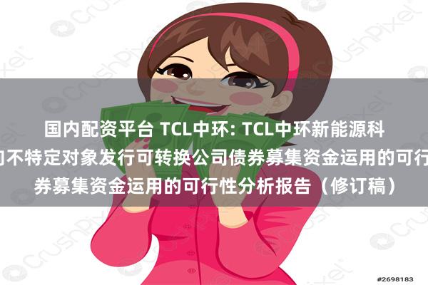 国内配资平台 TCL中环: TCL中环新能源科技股份有限公司关于向不特定对象发行可转换公司债券募集资金运用的可行性分析报告（修订稿）