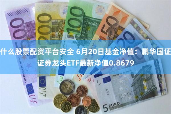 什么股票配资平台安全 6月20日基金净值：鹏华国证证券龙头ETF最新净值0.8679