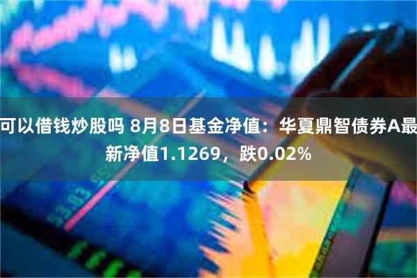 可以借钱炒股吗 8月8日基金净值：华夏鼎智债券A最新净值1.1269，跌0.02%