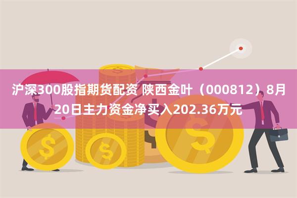 沪深300股指期货配资 陕西金叶（000812）8月20日主力资金净买入202.36万元