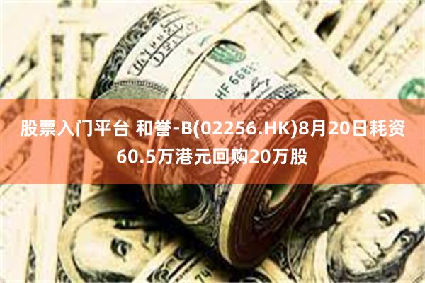 股票入门平台 和誉-B(02256.HK)8月20日耗资60.5万港元回购20万股