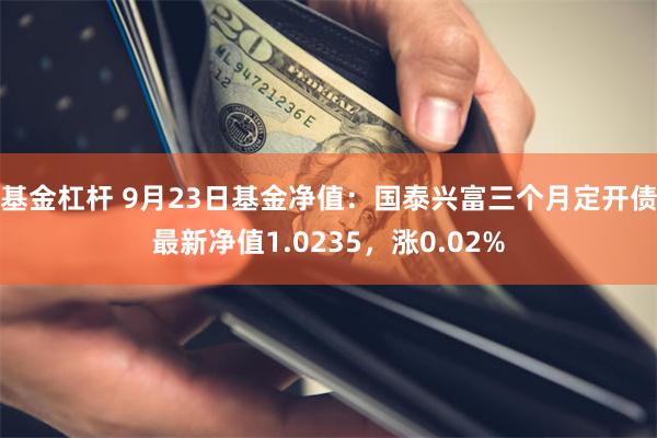 基金杠杆 9月23日基金净值：国泰兴富三个月定开债最新净值1.0235，涨0.02%