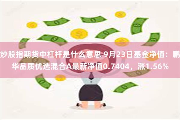 炒股指期货中杠杆是什么意思 9月23日基金净值：鹏华品质优选混合A最新净值0.7404，涨1.56%