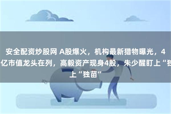 安全配资炒股网 A股爆火，机构最新猎物曝光，4只千亿市值龙头在列，高毅资产现身4股，朱少醒盯上“独苗”