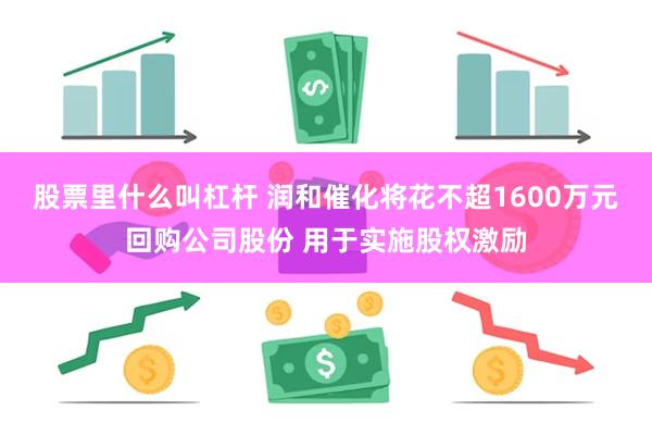 股票里什么叫杠杆 润和催化将花不超1600万元回购公司股份 用于实施股权激励