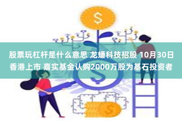 股票玩杠杆是什么意思 龙蟠科技招股 10月30日香港上市 嘉实基金认购2000万股为基石投资者