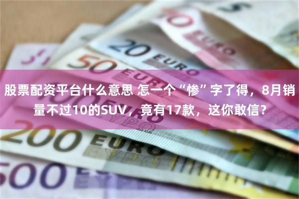 股票配资平台什么意思 怎一个“惨”字了得，8月销量不过10的SUV，竟有17款，这你敢信？