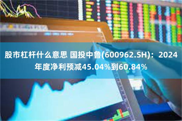 股市杠杆什么意思 国投中鲁(600962.SH)：2024年度净利预减45.04%到60.84%