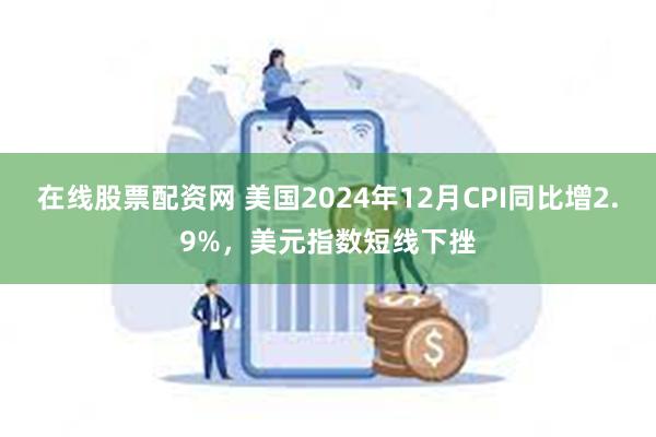 在线股票配资网 美国2024年12月CPI同比增2.9%，美元指数短线下挫